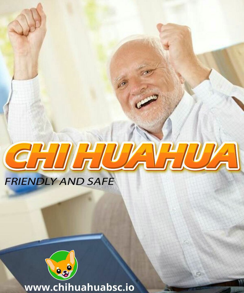 SHIB_CEO's tweet photo. @Chihuahua_bsc 🙋‍♂️🙋‍♂️ https://t.co/AMa47Gbhbh