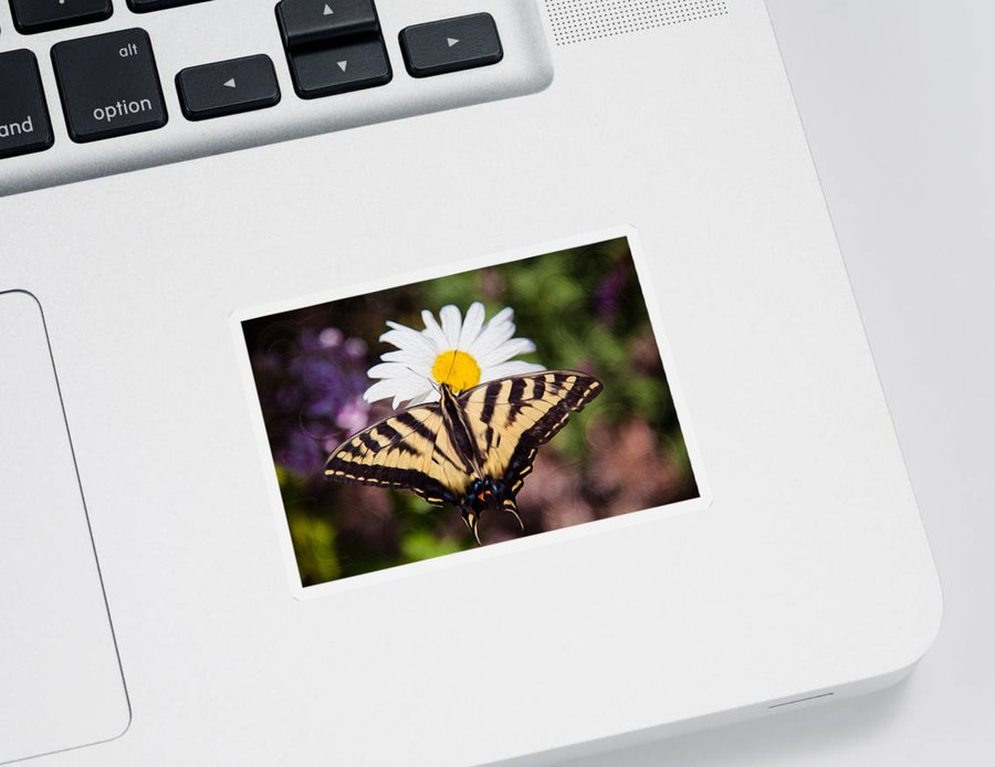 OmasteWitkowski's tweet photo. DAILY STICKER!!!... GET IT: https://t.co/pBurHKQZSI
#butterflysticker #butterfly #butterflyandflower #flyawaywithme #daisy #art #artwork #contemporaryart #stickerporn #whiteflower
#dailysticker #stickerlove #stickers #buyintoart #findartthissummer #stickerporn #stickerlife https://t.co/G2digfN5Yg