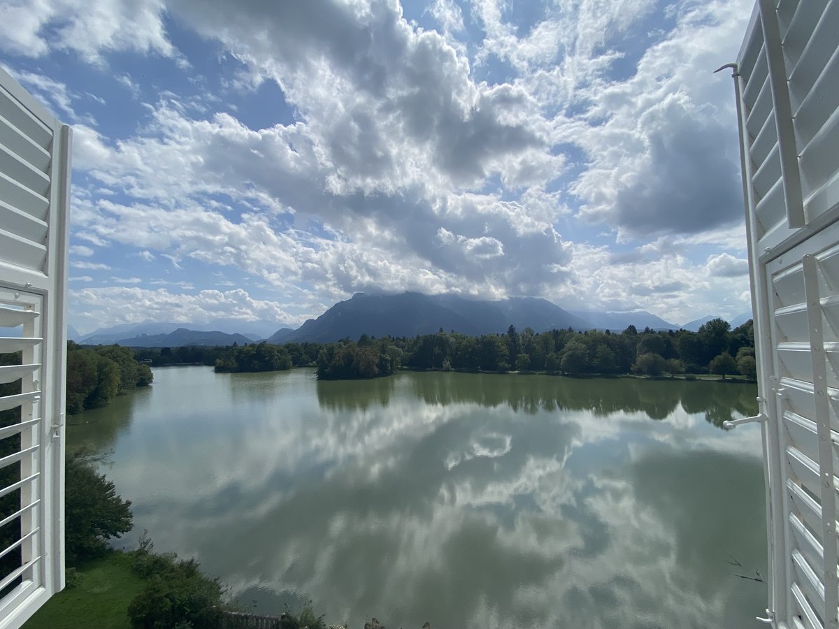 David Gardner tweet media