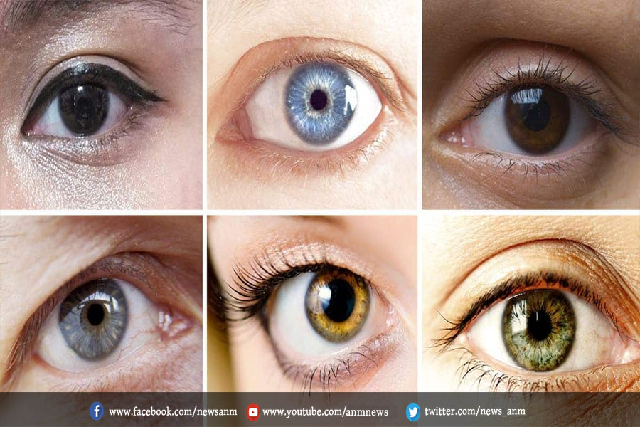 AnmNews's tweet image. इसलिए होती हैं आंखों का रंग नीली, हरी, भूरी या काली 

anmnewshindi.in/Home/GetNewsDe…

#science #eye #differentcolour #causeofdifferentcolour