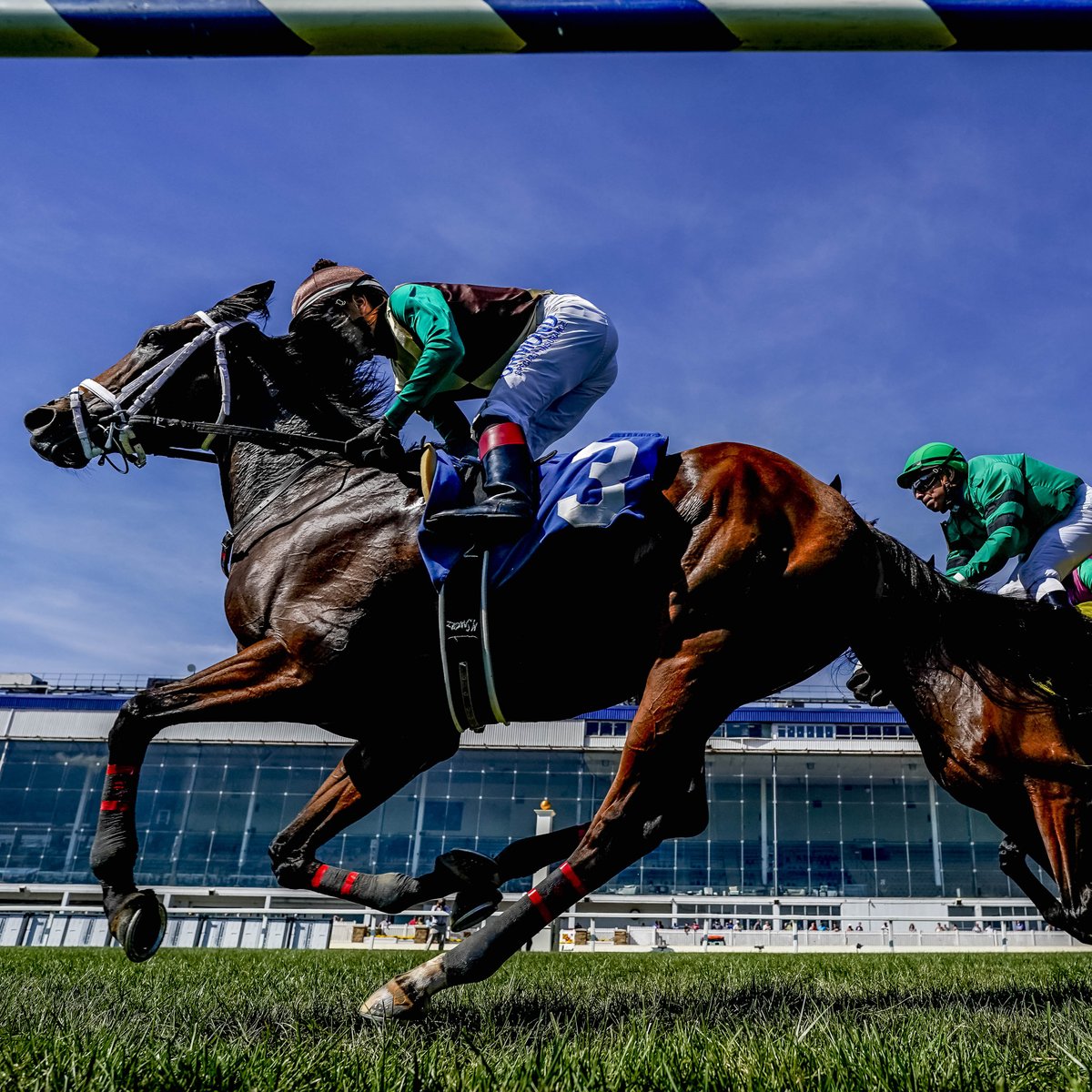 LaurelPark's tweet image. All systems go for Sunday racing! First post is 12:40pm. #LaurelPark