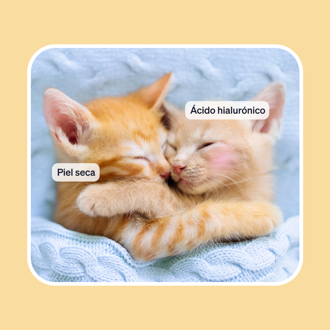atida_mifarma's tweet photo. Mira como se quieren💙... ¡Lo mismo pasa con el ácido hialurónico y la piel seca!
No esperes más y deja que este activo abrace tu piel😍
#Atida #beneficiosacidohialuronico #pielseca #hidratacioncutis #Cosmetica https://t.co/WoDtyeqz07