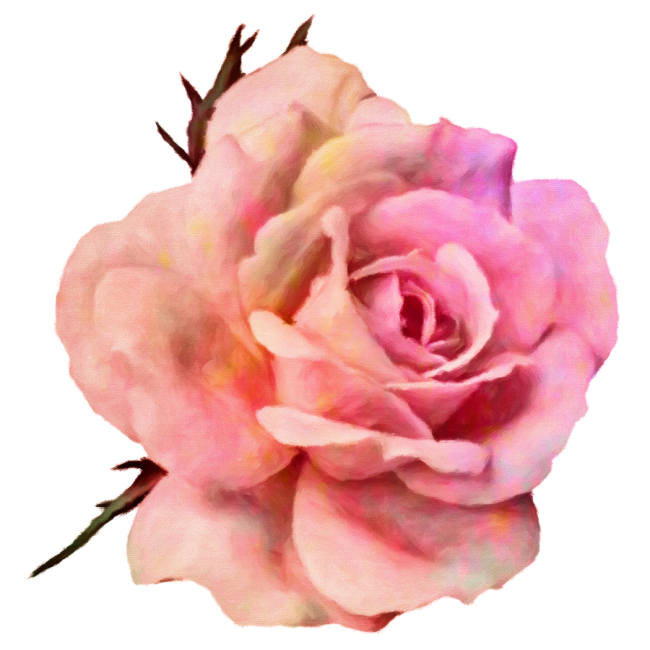 Bloomcore Painterly Vintage Rose Blossom #Oilpainting

LINK: redbubble.com/shop/ap/116214…

#BuyIntoArt #Flowers #FindArtThisSummer

VISIT petalspalette.redbubble.com FOR MORE