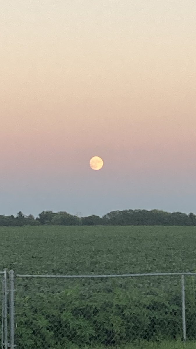 Gemm, now with a side of Cosma! tweet media