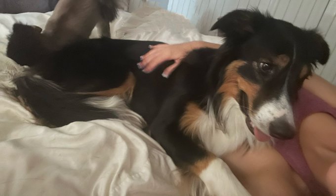 Everyone in the UK knows is stupidly hot right now. Except Arty. He still wants he&rsquo;s morning cuddles