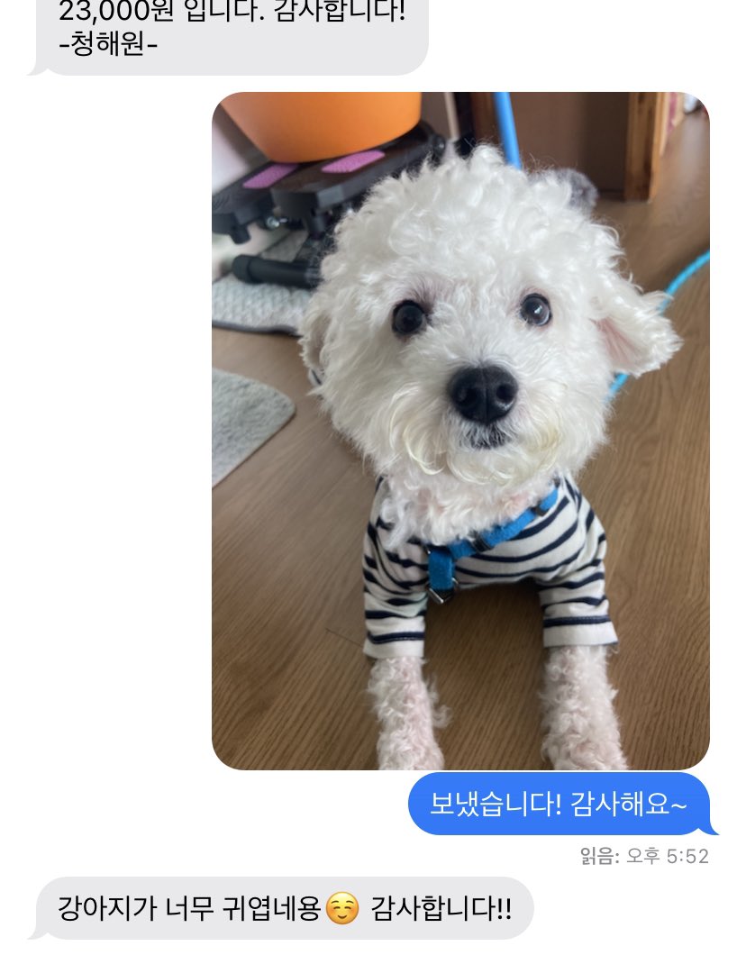 짜장면 시켰는데… 배달아저씨가 개를 엄청 좋아해서 강보리 엄청 만지다 가셨다
그리고 심지어 카드기는 놓고오셔서 입금함…
그냥 개 만지고 간 아저씨 됨
입금하면서 개 사진 보내드림