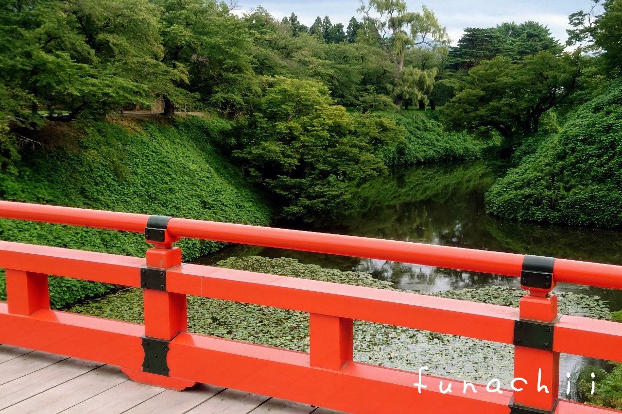 ふなちぃ03 鶴ヶ城散歩 濃い緑に癒される今日はだいぶ涼しいかと思いましたが やはり暑い 赤トンボもロープで休んでました 鶴ヶ城公園 紫陽花 散歩写真 写真好きな人と繋がりたい ファインダー越しの私の世界 空ネット T Co Yslb2unrbo