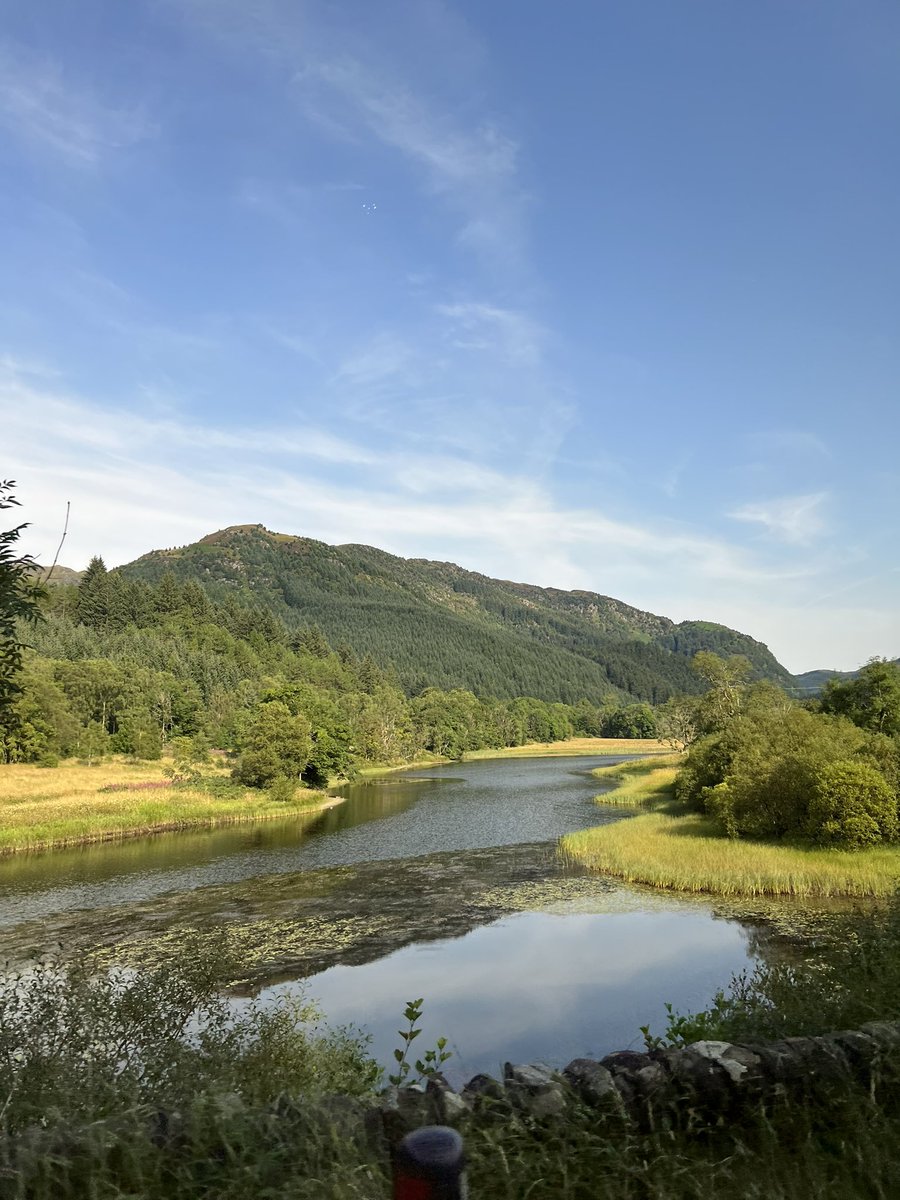 Lori Hamilton tweet media