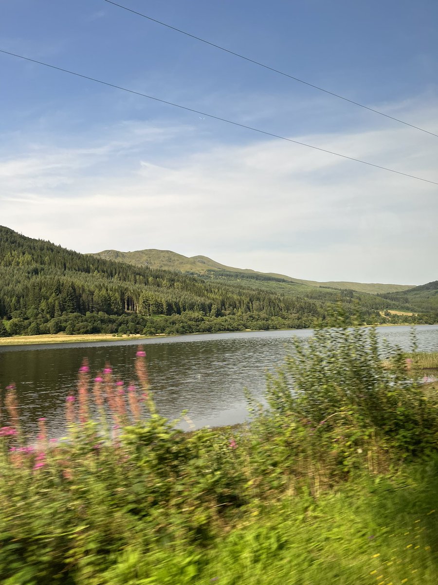 Lori Hamilton tweet media