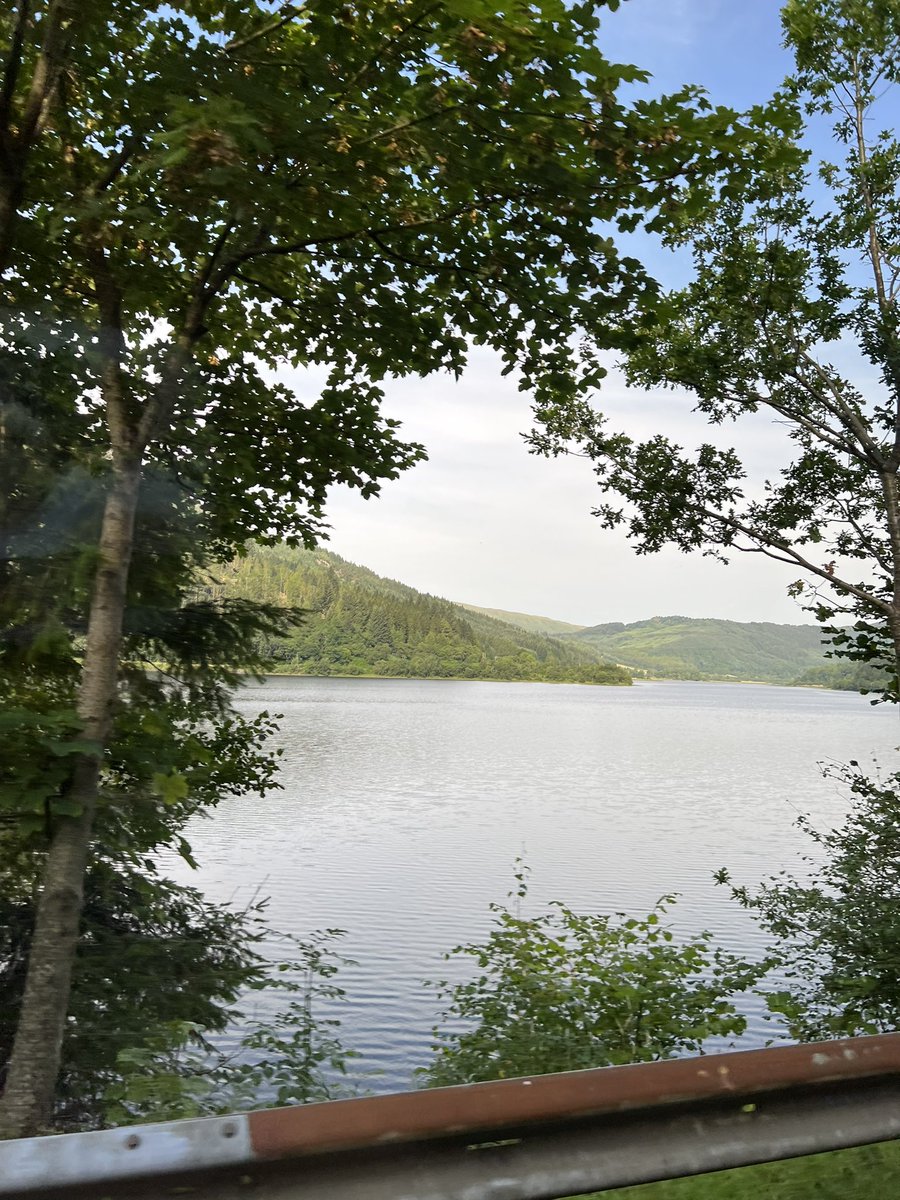 Lori Hamilton tweet media