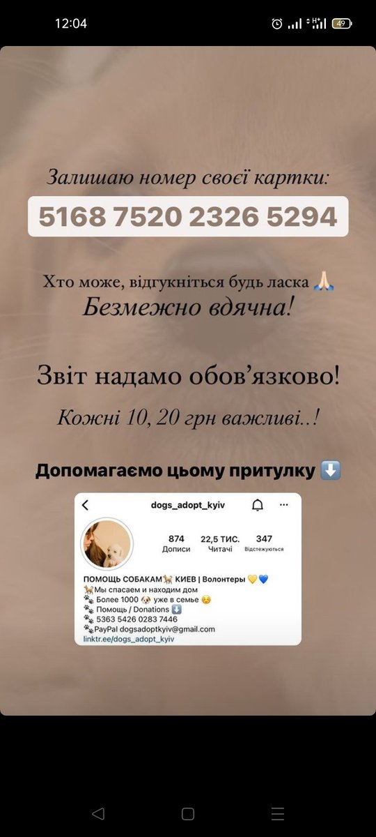 Просимо Вашої підтримки! Якщо кожен пожертвує чашечкою кави - це вже буде немаленька сума! I ми віримо, що скорішим часом бездомних тварин зовсім не буде! Вони всі будуть домашніми, щасливими і радісними. Сподіваємось на Вашу допомогу! Разом переможемо всі біди і негаразди💛💙