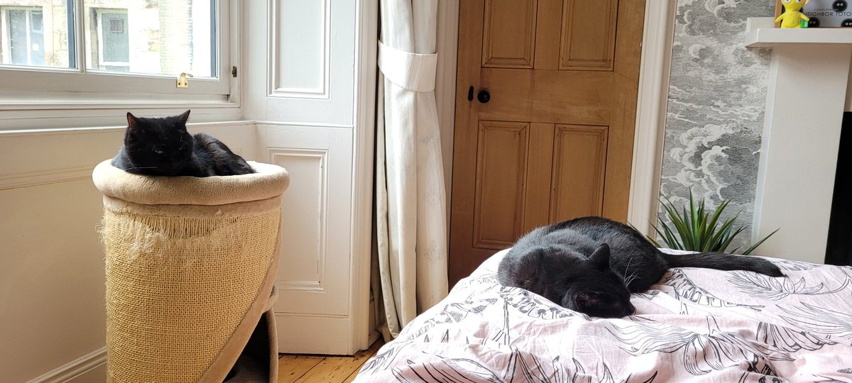 Sunday morning
