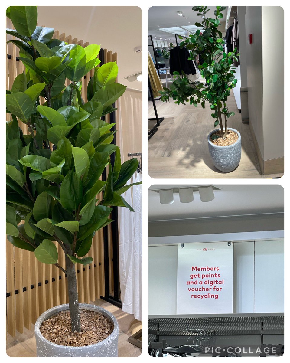 Suchirkl's tweet photo. @hm promoting #recyling for customers but how come your stores in Delhi have #plastic potted #plants ???
#saynotoplastic #GoGreen https://t.co/ITCbV9pZpd