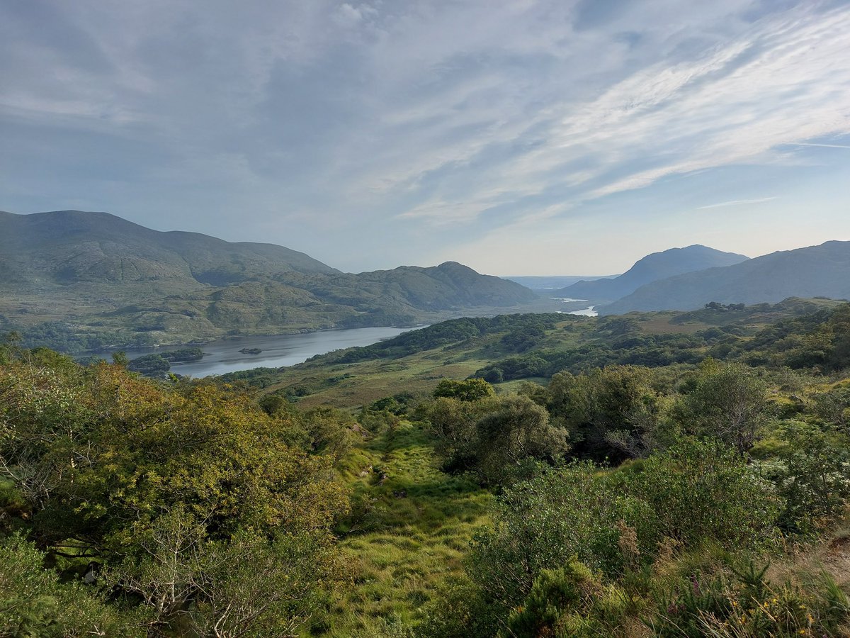 eoinheal's tweet photo. Early morning spin from @parknasilla to #MollsGap and #LadiesView with stunning views over #KillarneyNationalPark @KerryTourism @Kenmare_dot_ie https://t.co/s1jP9xMEV7
