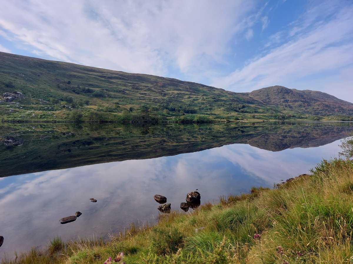 eoinheal's tweet photo. Early morning spin from @parknasilla to #MollsGap and #LadiesView with stunning views over #KillarneyNationalPark @KerryTourism @Kenmare_dot_ie https://t.co/s1jP9xMEV7