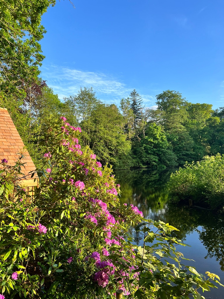 What a summer it's been so far at the estate. We have been soaking up all of the sunshine.