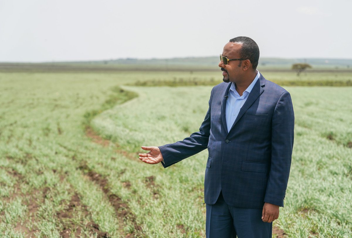 AbiyAhmedAli's tweet photo. Somali region cluster farming output is remarkable. We reviewed the Fafen zone wheat belt today on which more than 127k hectares of wheat is being farmed, with expectation of more than 8mil quintals to be harvested. This is an example of productivity in prior forgotten areas. 1/2 https://t.co/RvGCilR6WN