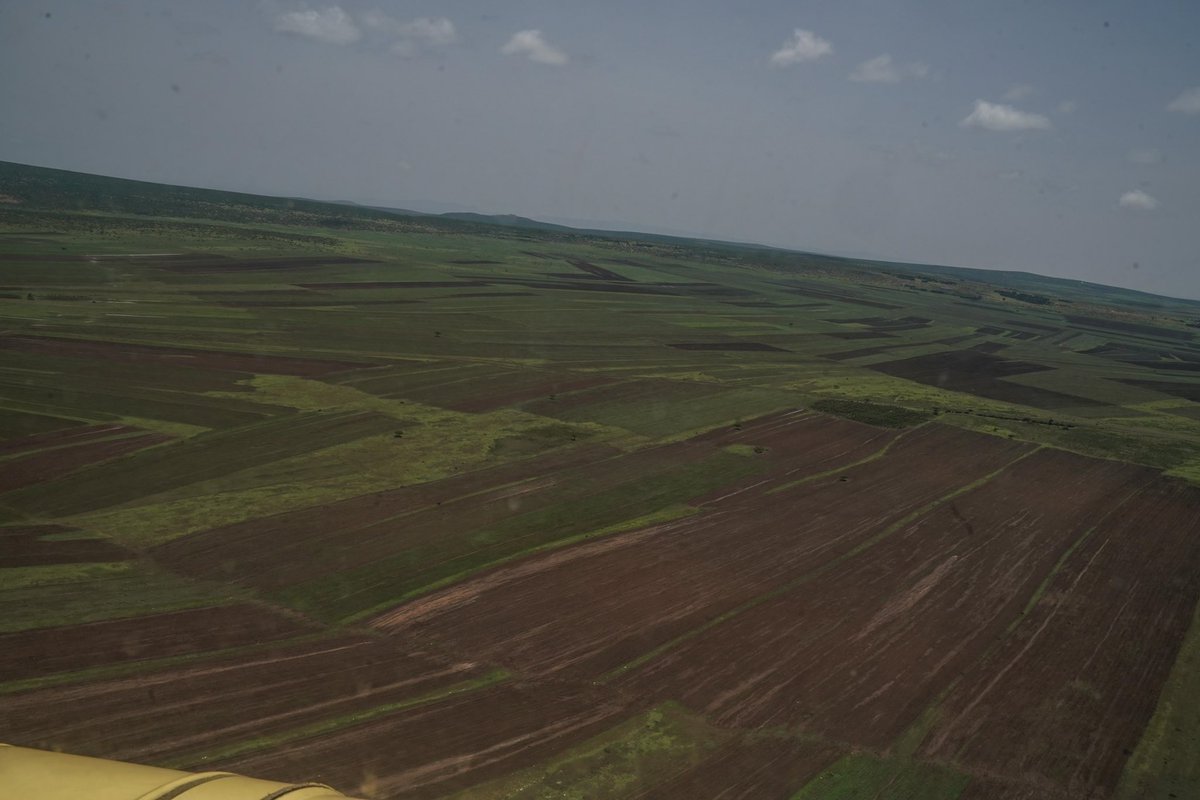 Somali region cluster farming output is remarkable. We reviewed the Fafen zone wheat belt today on which more than 127k hectares of wheat is being farmed, with expectation of more than 8mil quintals to be harvested. This is an example of productivity in prior forgotten areas. 1/2