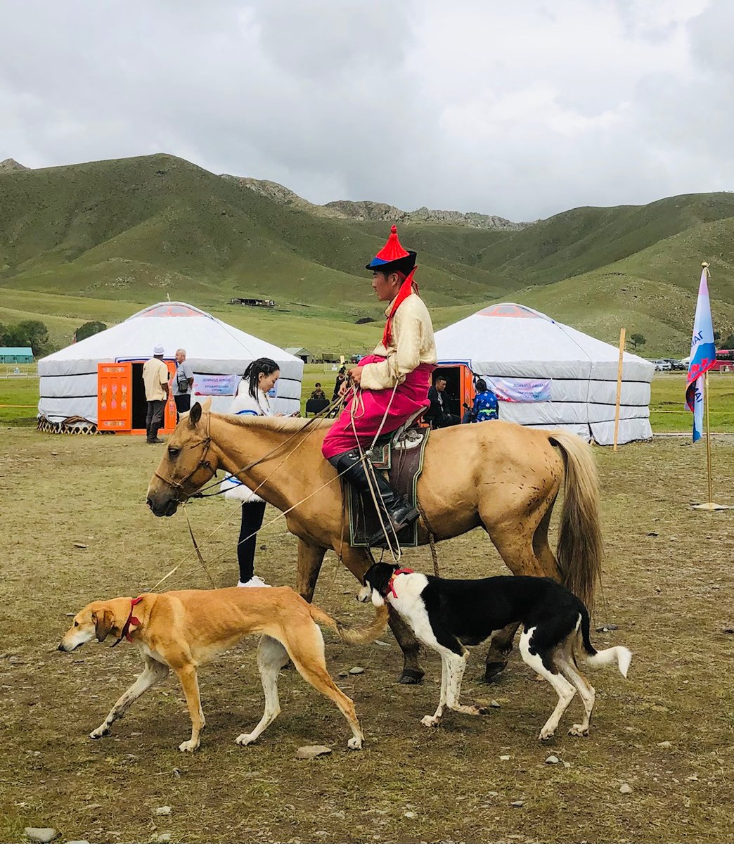 We've learned lots about Mongolia's rich nomadic culture over our years here but learned more - and enjoyed doing so - at the Nomadic Mongolia Festival.