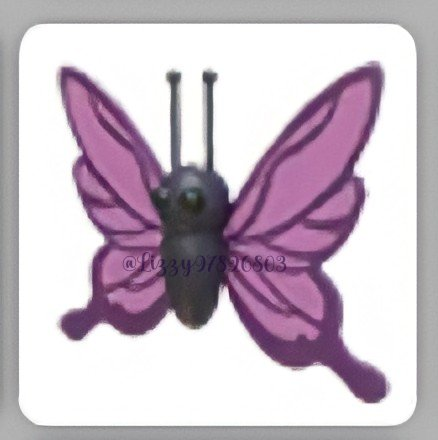 bear_got7's tweet photo. #adoptme giveaway ✨💗
one winner
ultra-rare purple butterfly (2.5% chance to get~)

follow me and @Lizzy97826803 with 🔔 on
like + retweet
comment "done"

extras in thread

ends: 40+ entries https://t.co/zi8xgwxg53