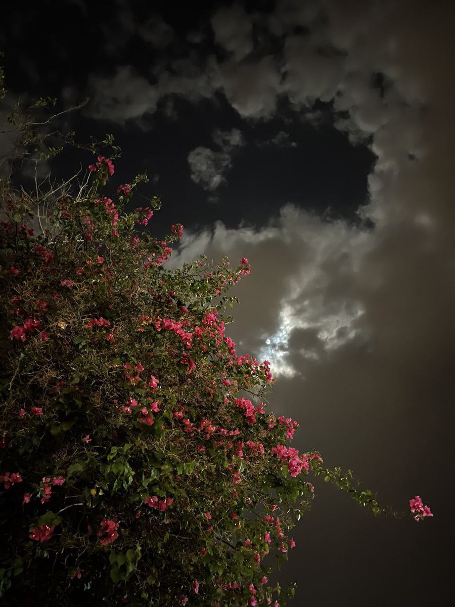 "ولما رأيتُ البدرَ في الليلِ ساطعًا
تذكّرتُكِ والشيء بالشيء يُذكَرُ "