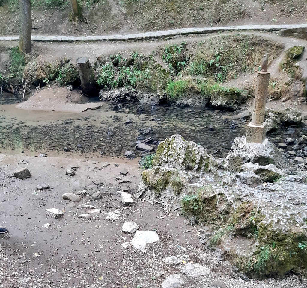 BAG 🌾🌾 tweet media