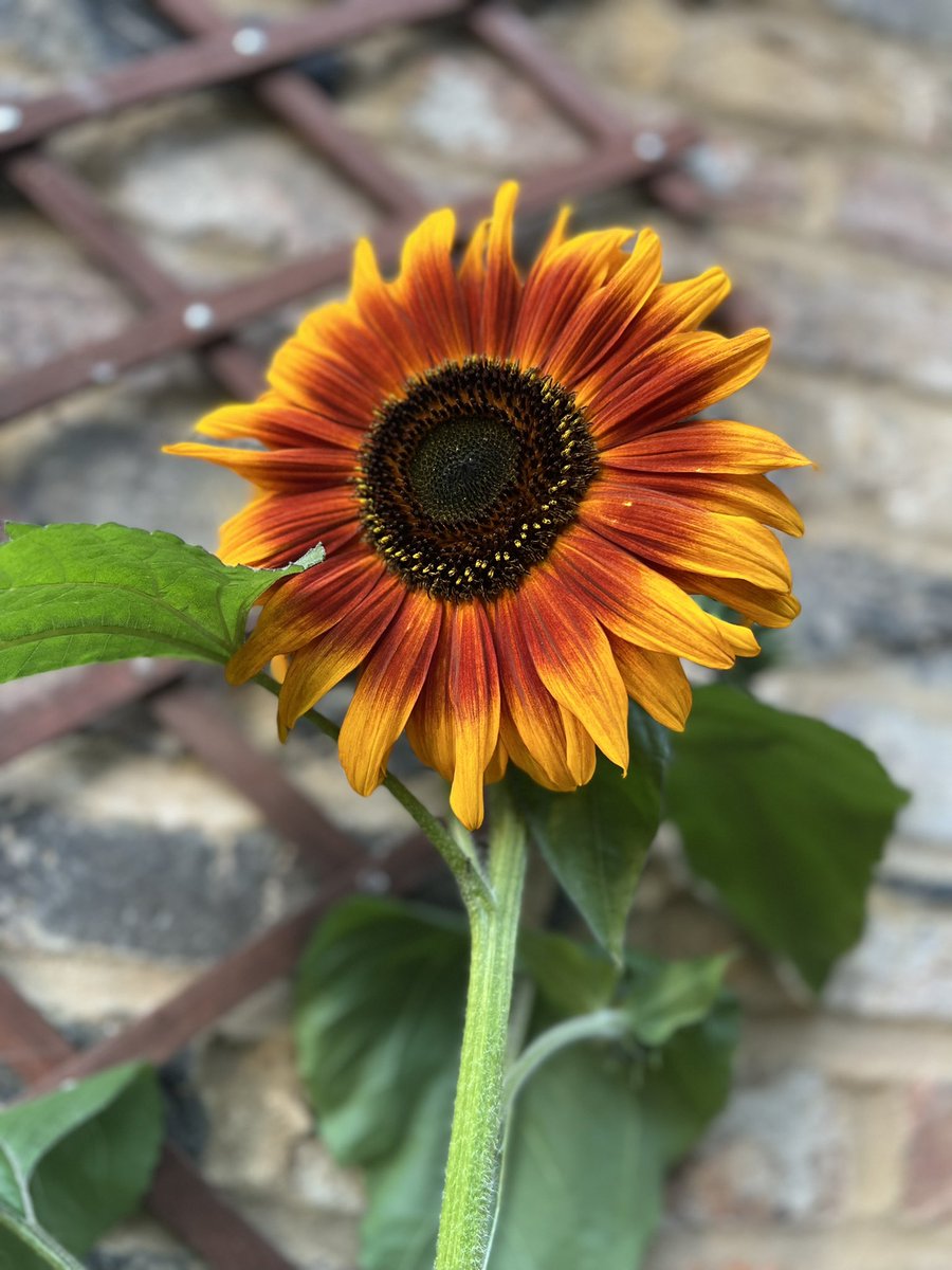 Spend your energy on what makes you happy.