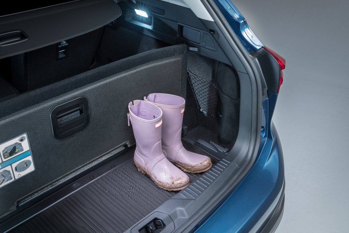 FordPolska's tweet photo. 👉 #FordPolska

▫️ Podobno dużo grzybów się pojawiło😎

Lubicie jeździć na grzyby? 

Ford #FocusActive https://t.co/GPbrcAAzVw