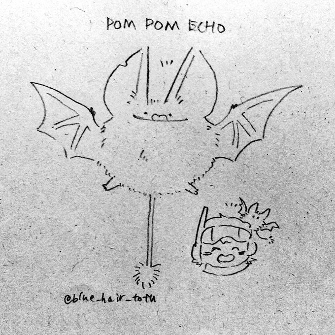 POMPOM ECHO 