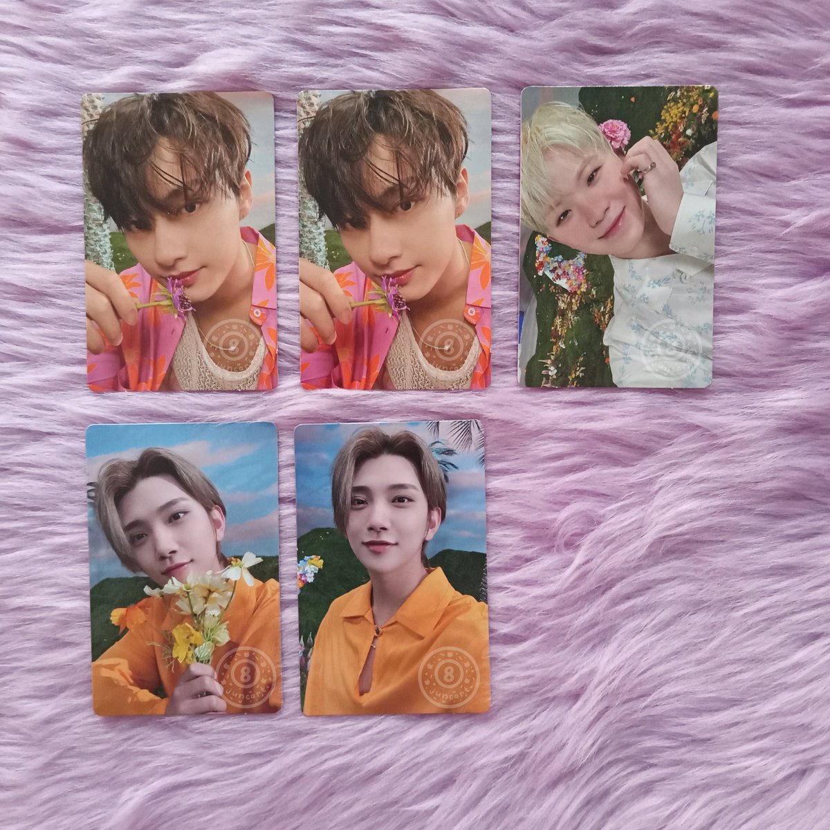 8juncart's tweet photo. ꒰ wts lfb :: #8onhands!  ꒱

𓂋 ₱ 250 each, shua set ₱ 430
𓂋 mop : gcash, mod : sco / cod 
𓂋 visit https://t.co/sXjpI3FgpK before dm. 
𓂋 PAYO/within 24 hrs! x sensitive buyer 🫶
𓂋 can check out on payday sale. 

t. sector 17 jun joshua woozi new beginning version svt https://t.co/xudUERcEIc