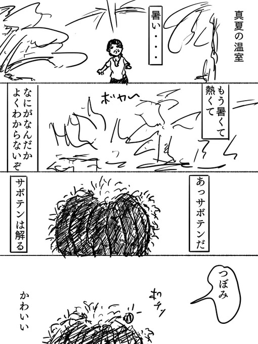 アロエ 