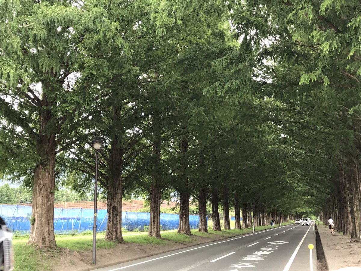 okarin_camp's tweet photo. 久しぶりのキャンプは奥琵琶湖キャンプ場に行きまして誕生日キャンプになりましたー！めっちゃ綺麗し楽しかった！
誕生日プレゼントにhelinoxのチェア頂きましたー！
ついでにメタセコイヤ並木にも行ってきました！笑
＃キャンプ好きと繋がりたい https://t.co/YzGmtU2oOp
