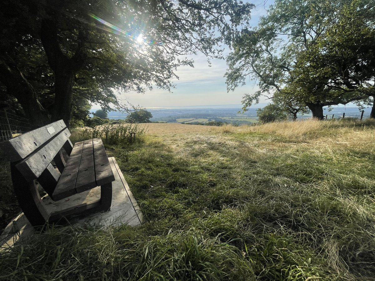 MATT CALLANAN tweet media