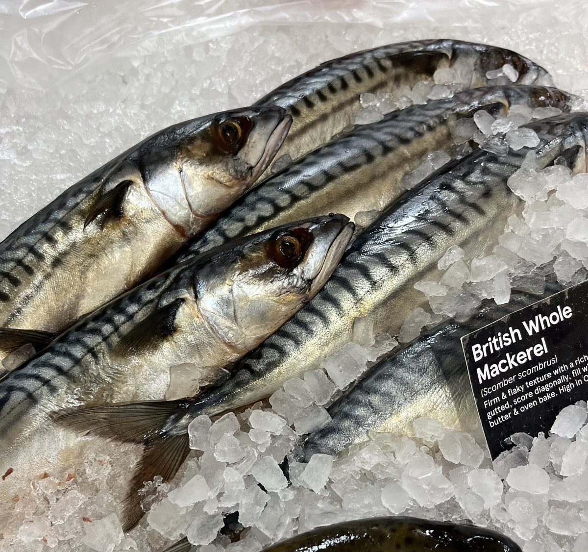 PassionSeafood's tweet photo. It’s about time supermarkets stopped selling fish altogether. Please don’t buy your fish there 😡
Look at the state of this. You could smell the fish counter, before you saw it. Disgusting. No wonder people get put off? 
Contrast with our own stunning macks 👌🏻 https://t.co/VdUPa0FEAu