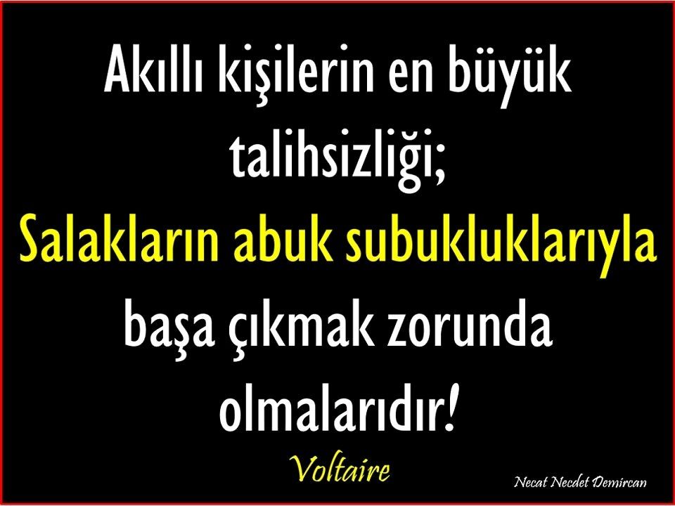 📌Meselenin Özü📌

Yolunuz hep akıllı insanlara çıksın...

#SuriyelilerSuriyeye #mülteciistilasınason