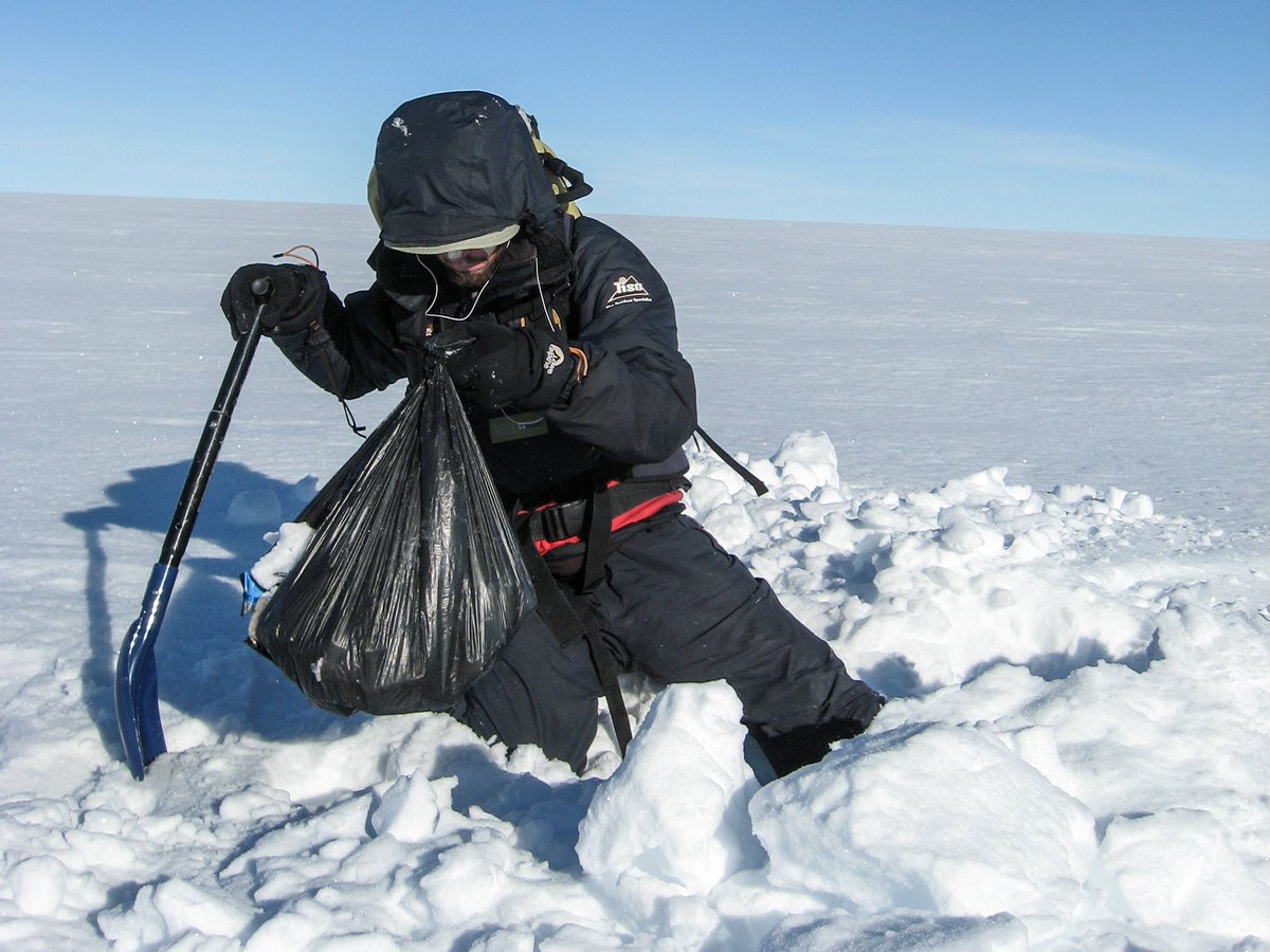 Alex Hibbert tweet media