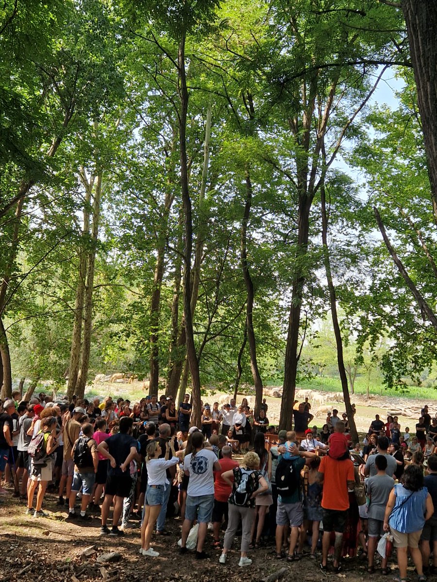 La llegenda del Serpent en un entorn màgic... #serpentdemanlleu #festadelserpent #serpentdelsmenuts #FMM22 <a href="/manlleueja/">Manlleueja</a>