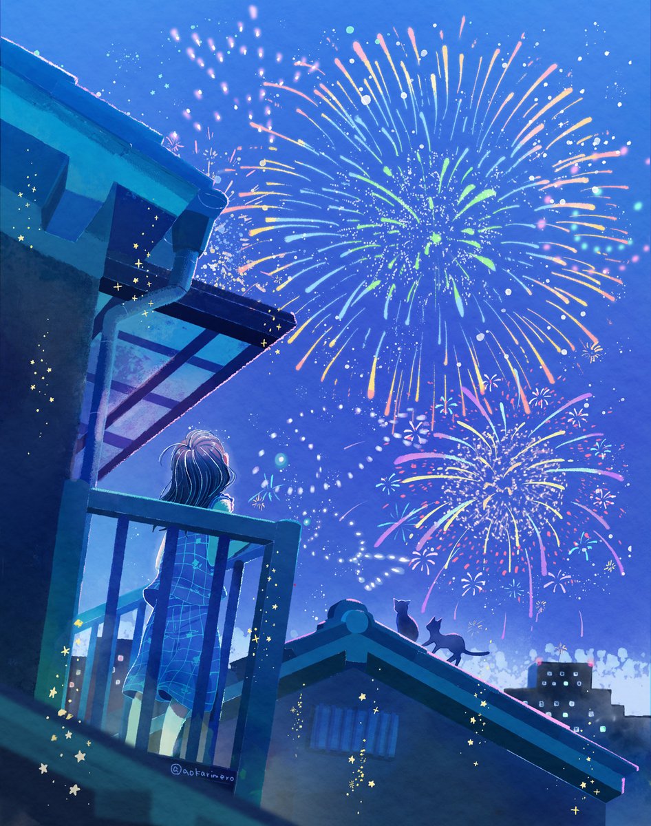 1girl cat fireworks dress sky night solo  illustration images