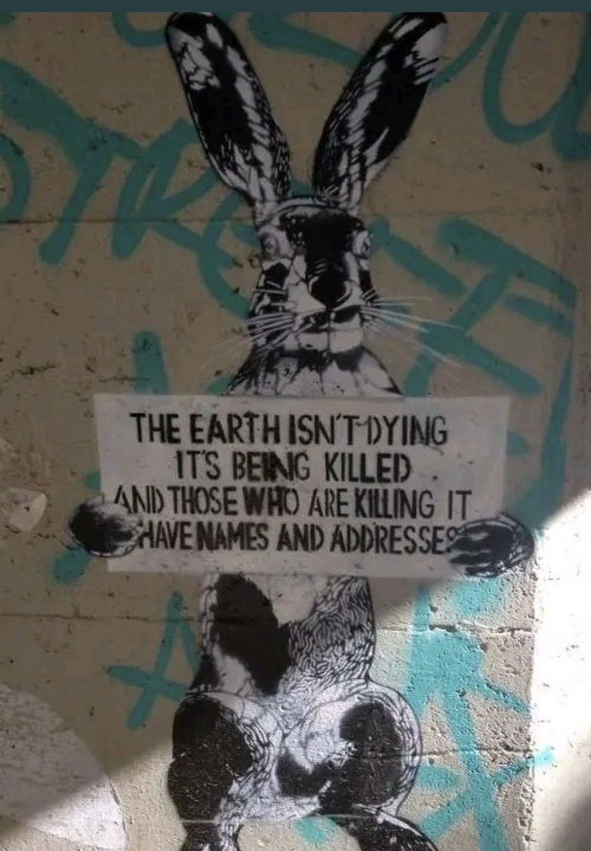 message. Good morning.
#StreetArt #art #GoodMorning #hope #future #beautiful #earth  #humanity #message
