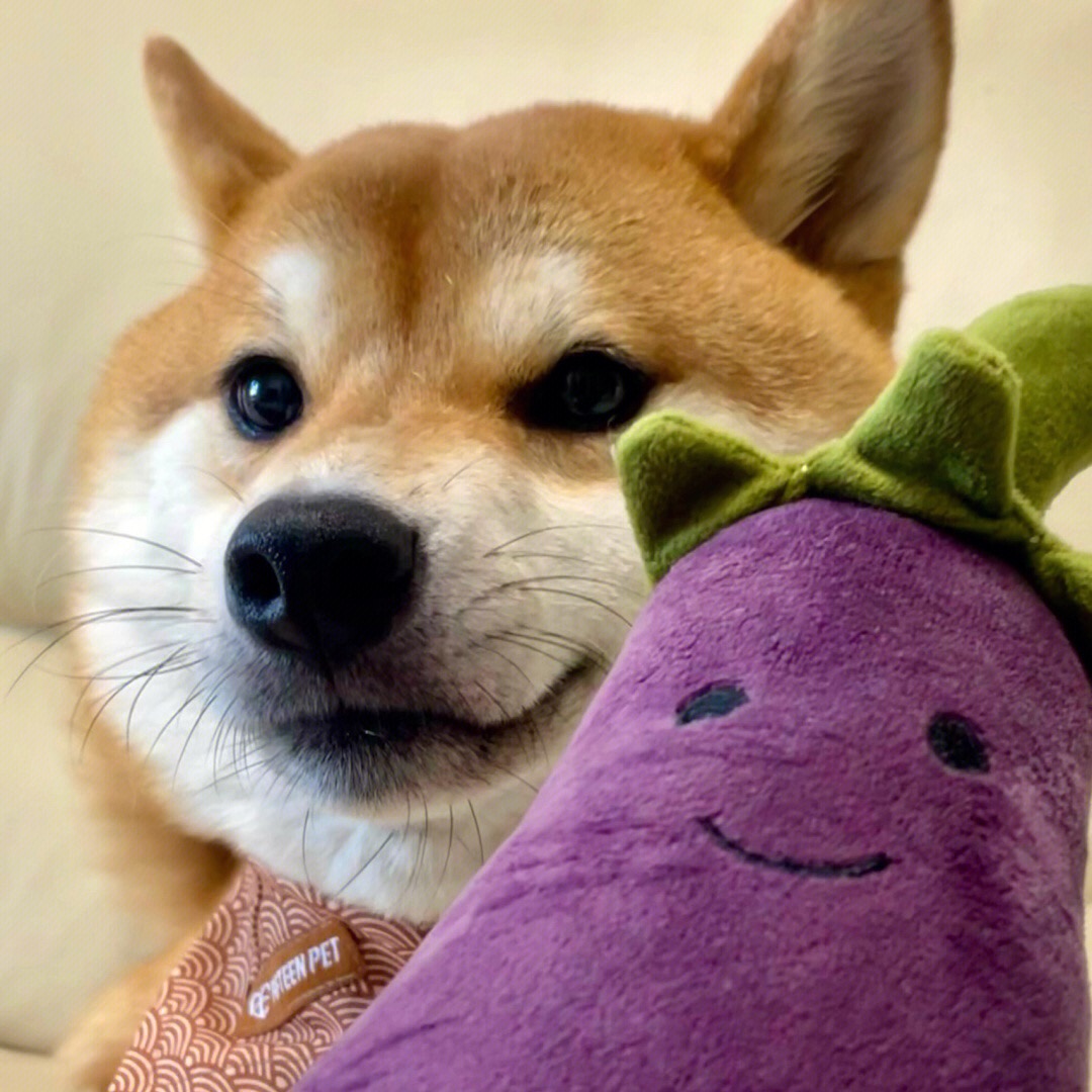 wgdbfns's tweet image. Haha, so cute