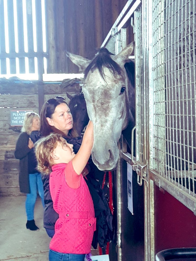 DDennisracing's tweet photo. DD Racing are excited to be apart of the #NationalRacehorseWeek with an Open Day on Sunday 11th September at Edgcote Oxfordshire. To book your space please click on the link below https://t.co/FG7efetxiX #bepartofit #4weekstoday #openday #HorseRacing https://t.co/BM0INPsqKg