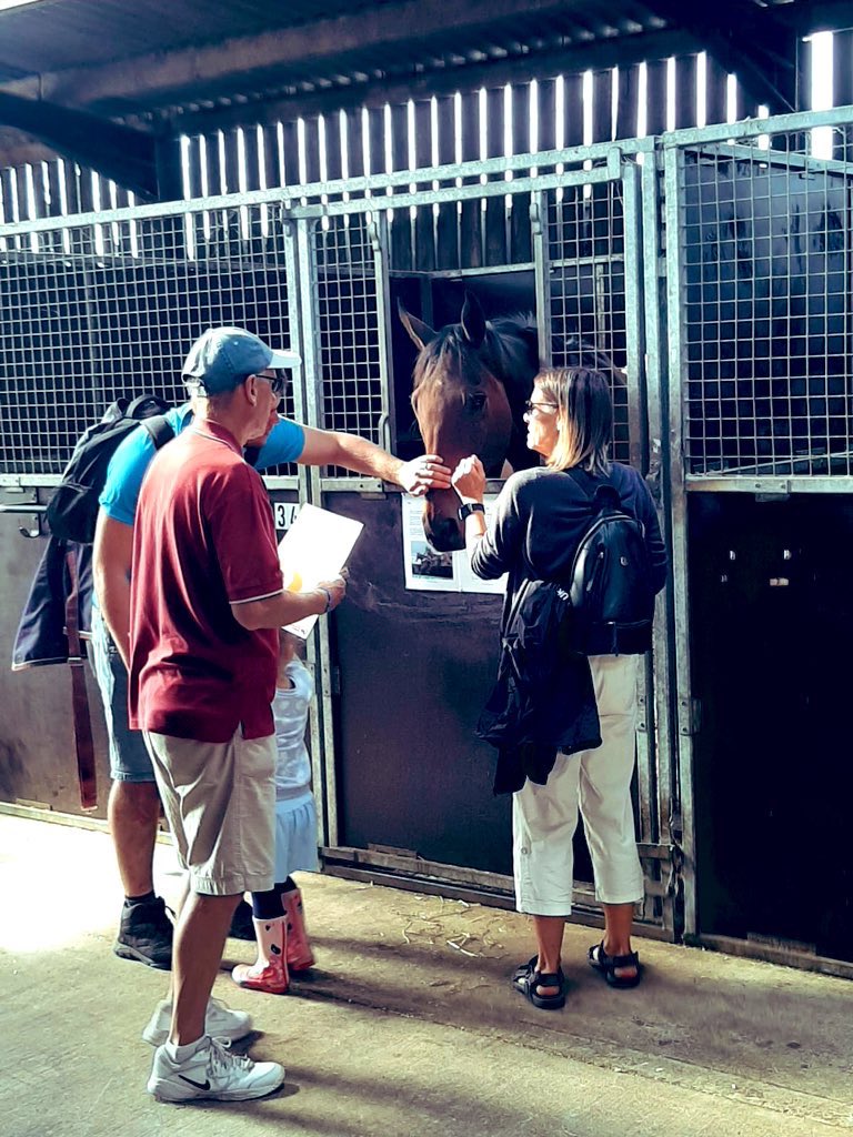 DDennisracing's tweet photo. DD Racing are excited to be apart of the #NationalRacehorseWeek with an Open Day on Sunday 11th September at Edgcote Oxfordshire. To book your space please click on the link below https://t.co/FG7efetxiX #bepartofit #4weekstoday #openday #HorseRacing https://t.co/BM0INPsqKg
