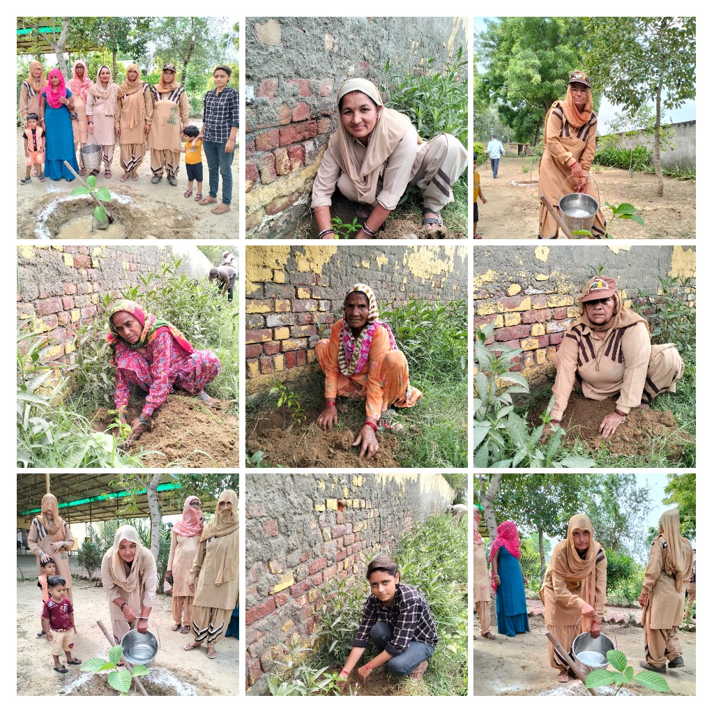 naveensainiHR's tweet photo. To celebrate the pious Incarnation Day of Saint Dr Gurmeet Ram Rahim Singh Ji Insan, #DeraSachaSauda volunteers from Block Julana (Jind), Haryana organised a Tree Plantation Campaign.

#TreePlantation #PlantATree #SelfieWithTree https://t.co/uZZjzXUFbn