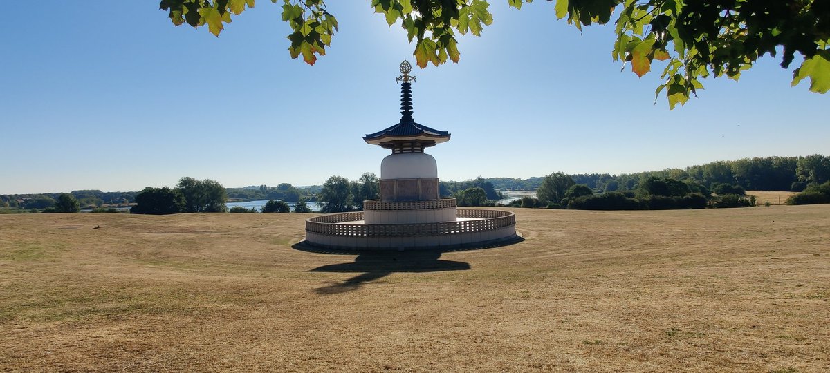 FloatMe2's tweet image. Early walk.