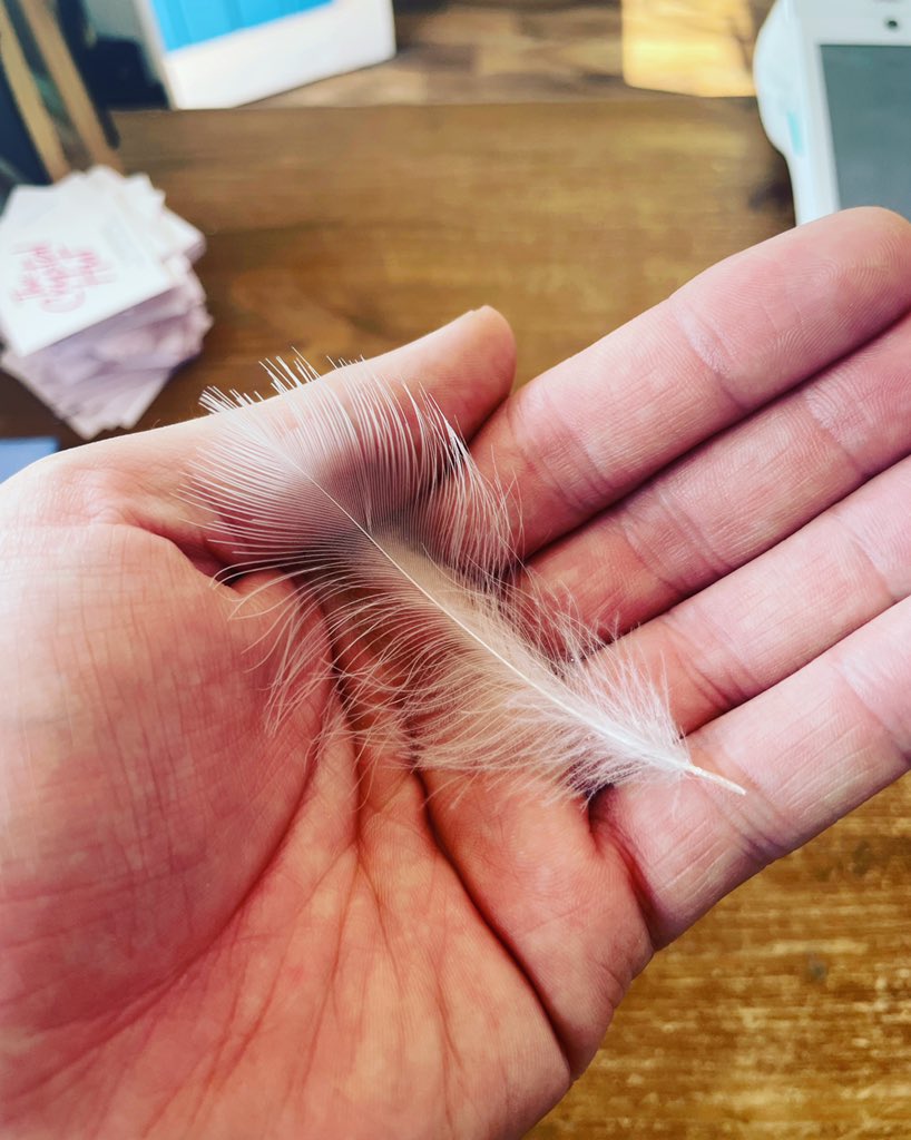 KrisCMeredith's tweet photo. This feather was at my feet just now… 😇 it’s amazing how the angels let you know all will be ok and you are looked after!!! 🙏🏻😇🙏🏻 #angels #angelsbymyside #walkingwithangels #angels #angelfeather #hope #faith #support #love #gotyourback https://t.co/2tJAMh756d