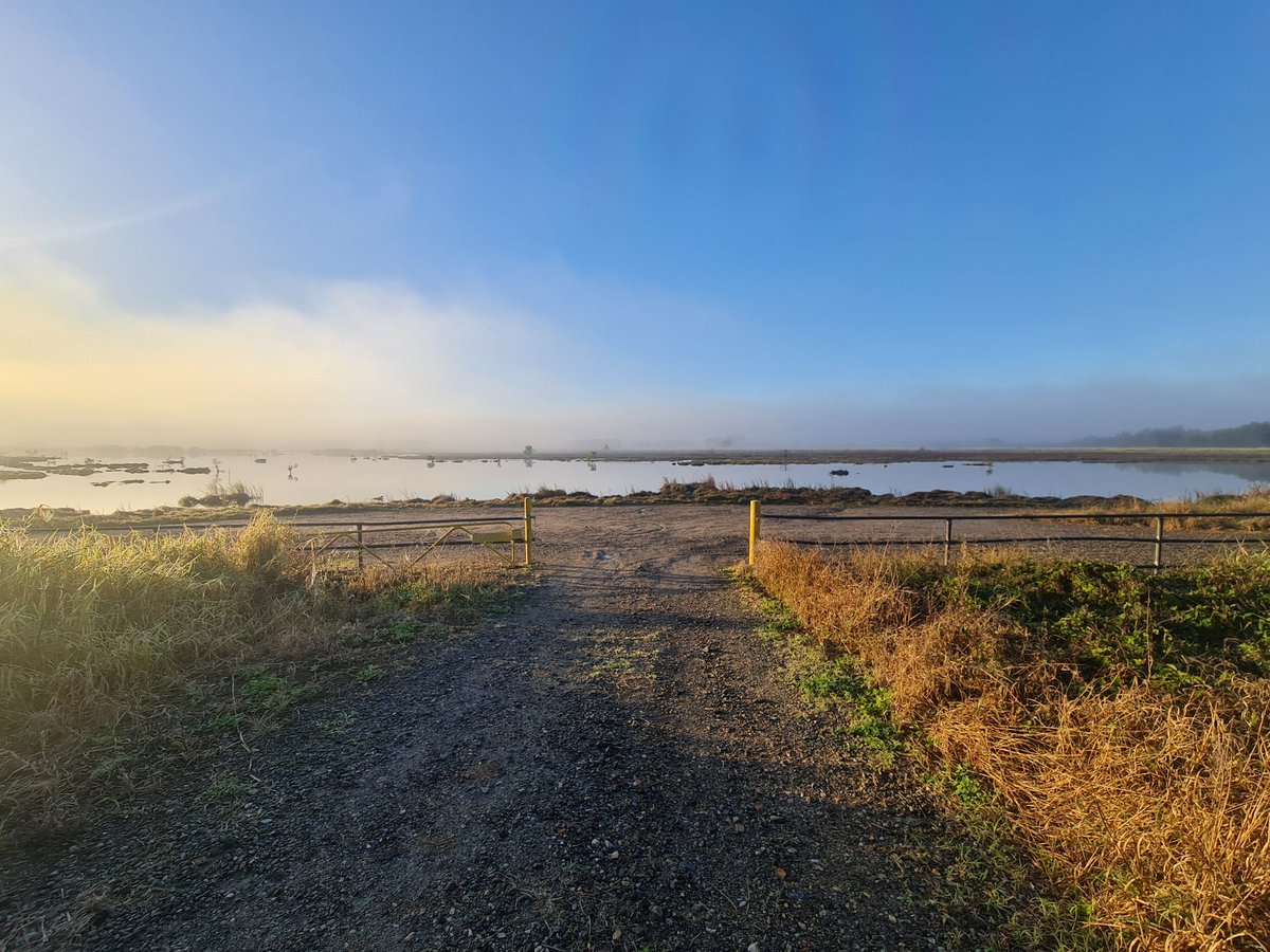 CalebGittins's tweet photo. There's just something about Kedron Brook Wetlands on a crisp Winter morning #WildOz #BrisbaneBirds https://t.co/RZEMXlnrrQ