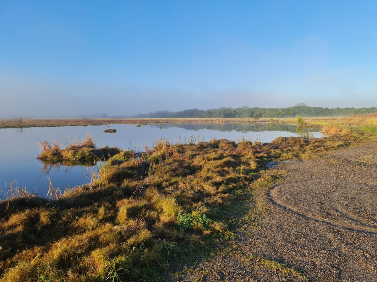 CalebGittins's tweet photo. There's just something about Kedron Brook Wetlands on a crisp Winter morning #WildOz #BrisbaneBirds https://t.co/RZEMXlnrrQ