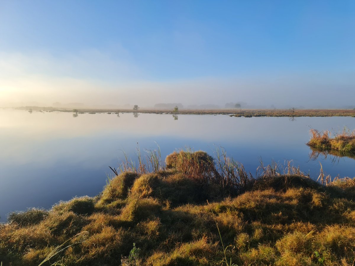 CalebGittins's tweet photo. There's just something about Kedron Brook Wetlands on a crisp Winter morning #WildOz #BrisbaneBirds https://t.co/RZEMXlnrrQ