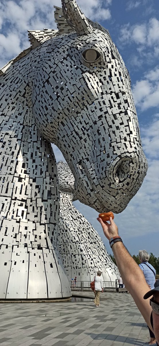 Shell67's tweet photo. Feeding the #kelpies #fisheranddonaldson #fudgedonut with custard https://t.co/gR2BxveAsT