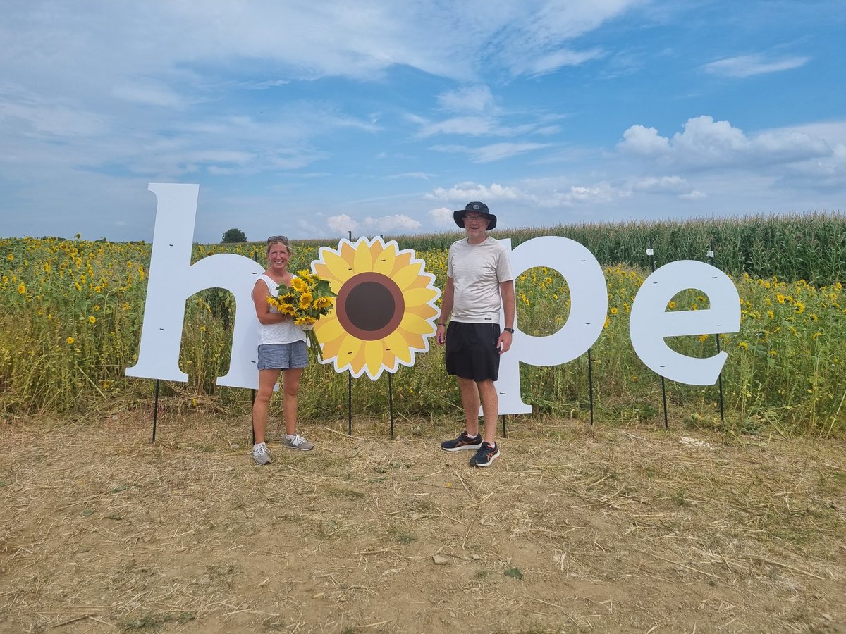 inaweoftheclaw's tweet image. Get down to the #kilkennysunflower field in #callan and get your fill. All well run by and donations in aid of @taxiwatchedu